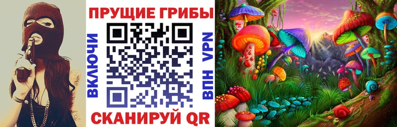 Галлюциногенные грибы Psilocybe  Верхняя Тура 
